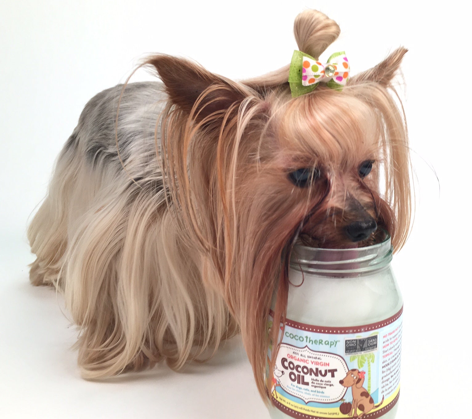 Coconut Oil - Is It Really Healthy?