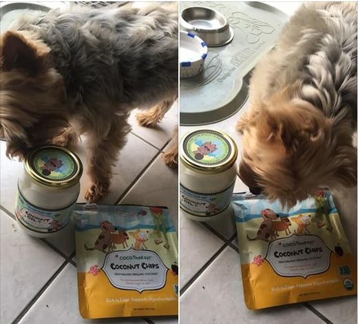 We trust only this product for our fur baby