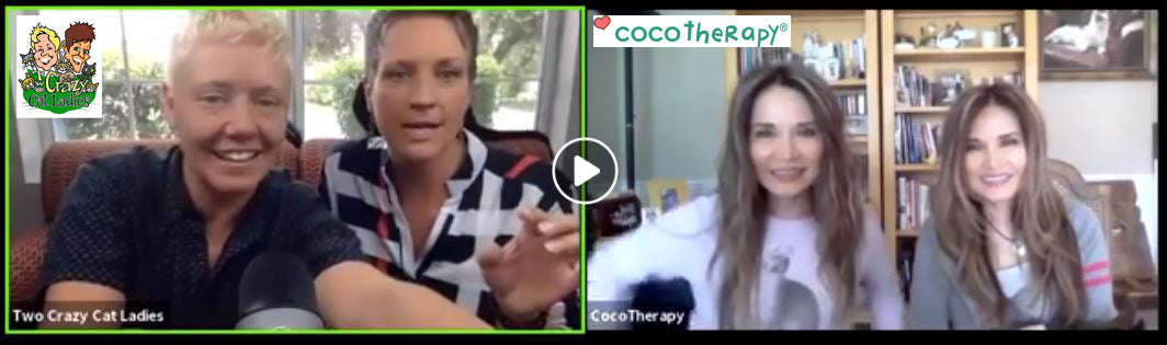 Cats and Coconut Oil