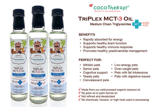 Everything You Need To Know About CocoTherapy TriPlex™ MCT-3 Oil