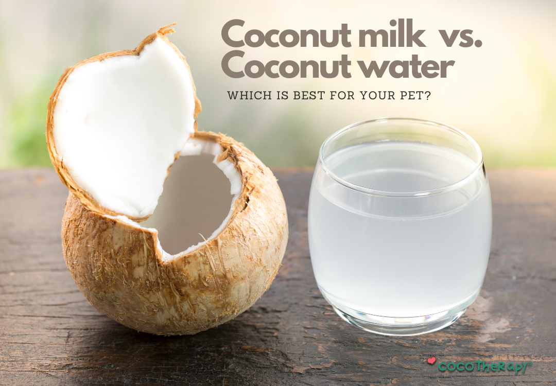 Coconut Milk vs. Coconut Water: Which is Best for Your Pet?