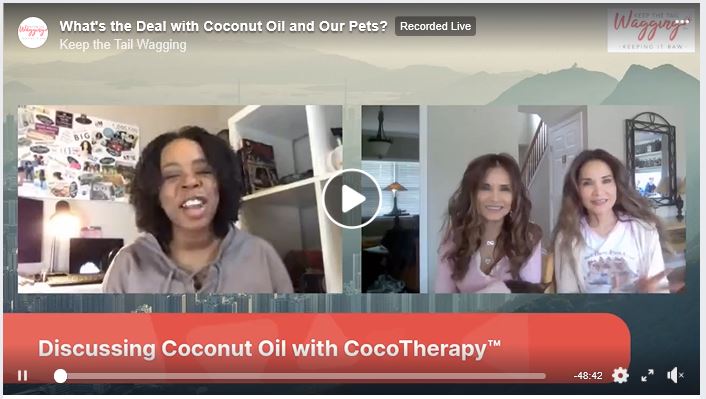 Keep the Tail Wagging: What's the Big Deal about Coconut Oil for Pets? Interview with Kimberly Morris Gauthier