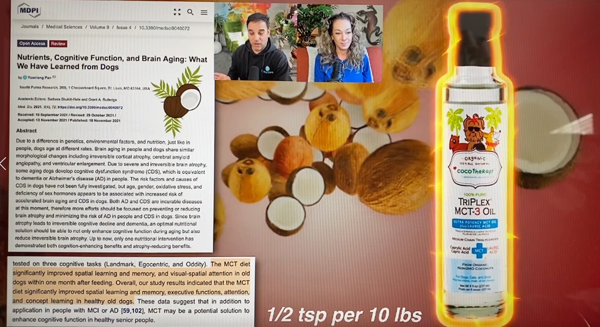 How MCT Oil Supports Brain Health in Animals