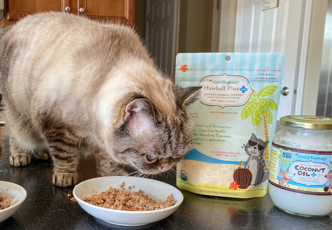 Coconut Oil and Coconut Fiber for Hairballs: A Natural Fix for Your Furry Friend