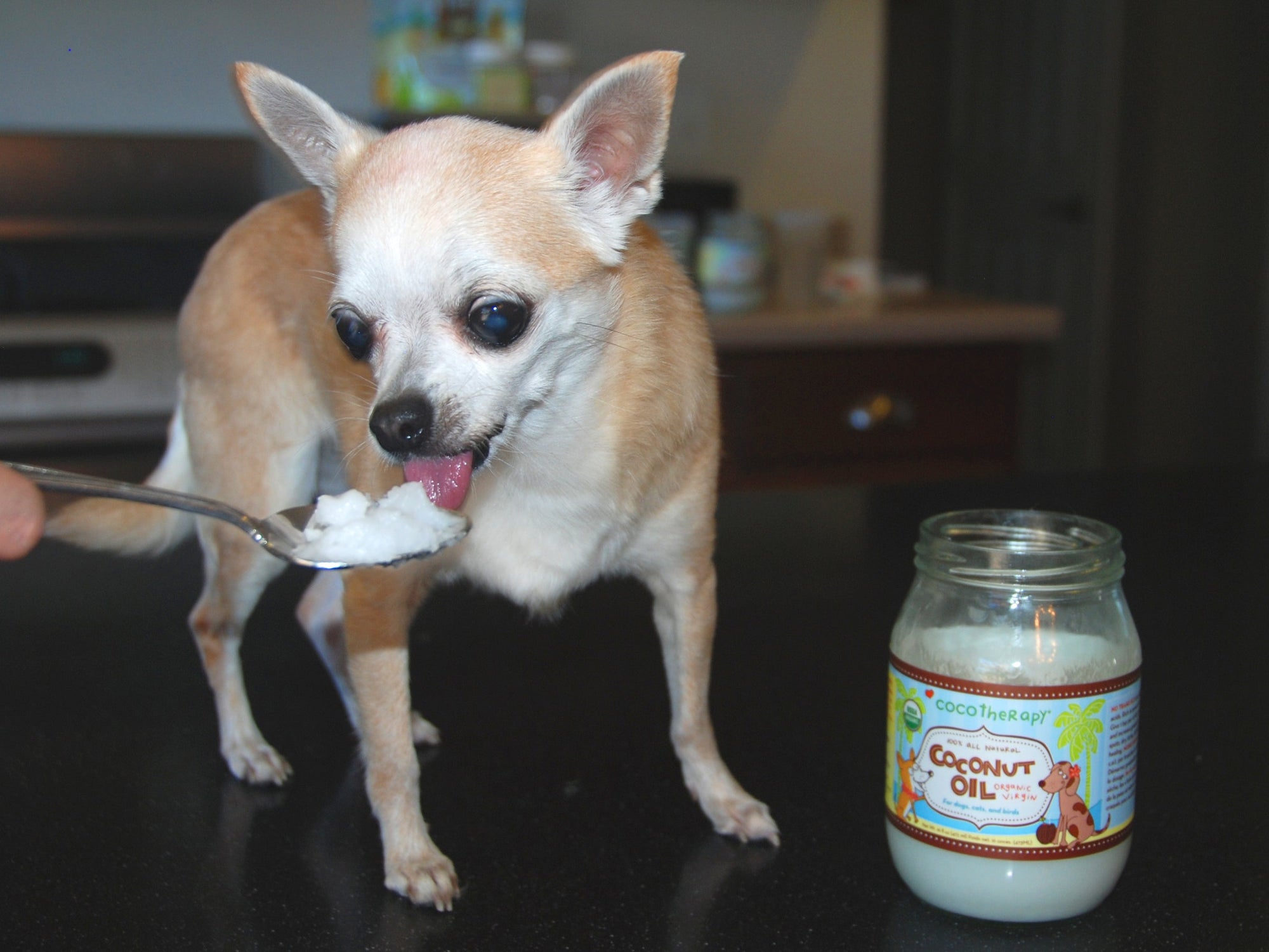 Using Virgin Coconut Oil as a Therapeutic Oral Supplement for Health Issues