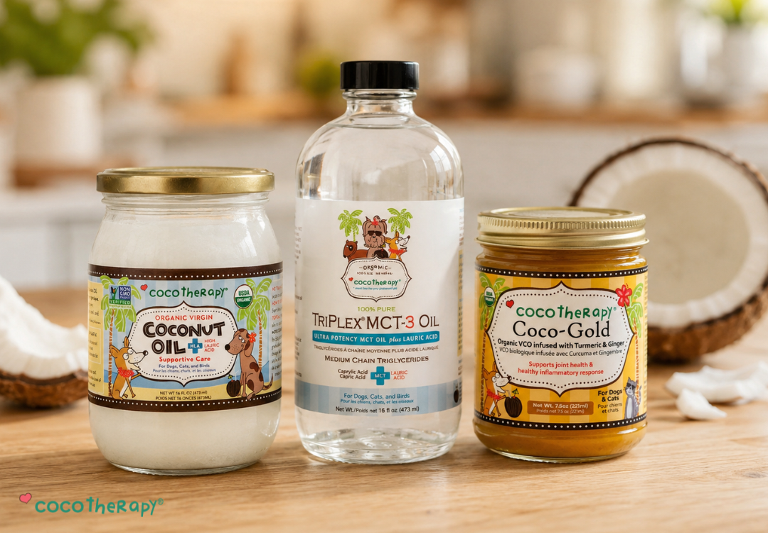 Bottles of CocoTherapy Virgin Coconut Oil, TriPlex MCT-3 Oil, and Coco-Gold on a kitchen table