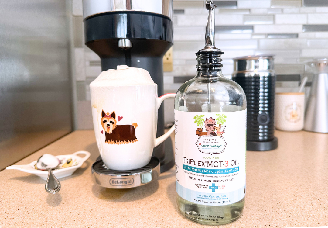 Adding CocoTherapy TriPlex MCT-3 Oil to a cup of coffee on a coffee maker.