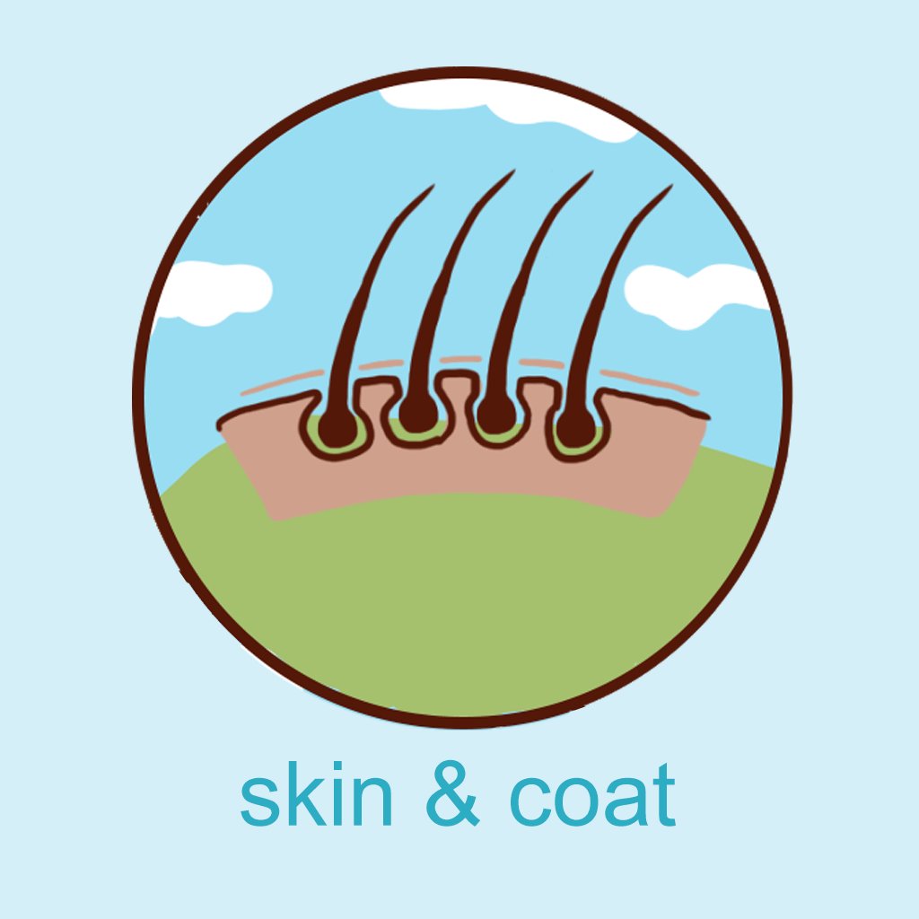 Skin and Coat Health