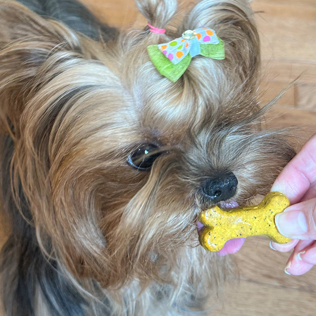 Anti-Inflammatory Support Triple Combo Pack - Coco-Gold + Carrot + Ginger Coco-Milk Bones