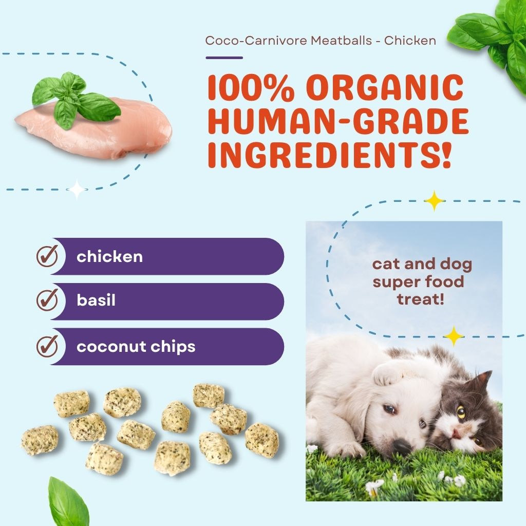Coco-Carnivore Meatballs – Chicken + Basil + Coconut