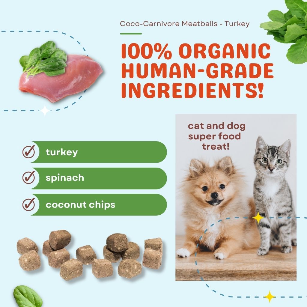 Coco-Carnivore Meatballs – Turkey + Spinach + Coconut
