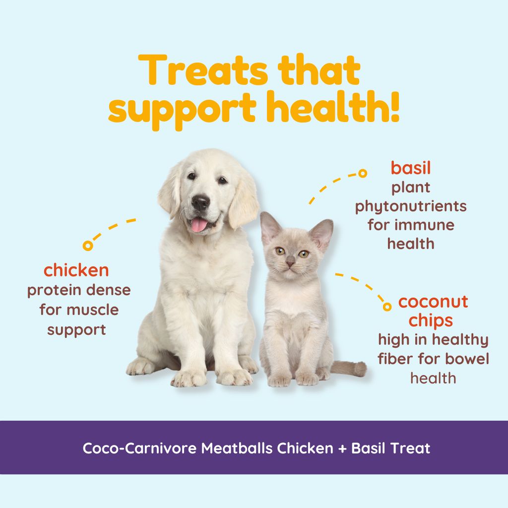 Coco-Carnivore Meatballs – Chicken + Basil + Coconut