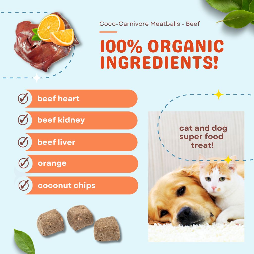 Coco-Carnivore Meatballs – Beef + Orange + Coconut