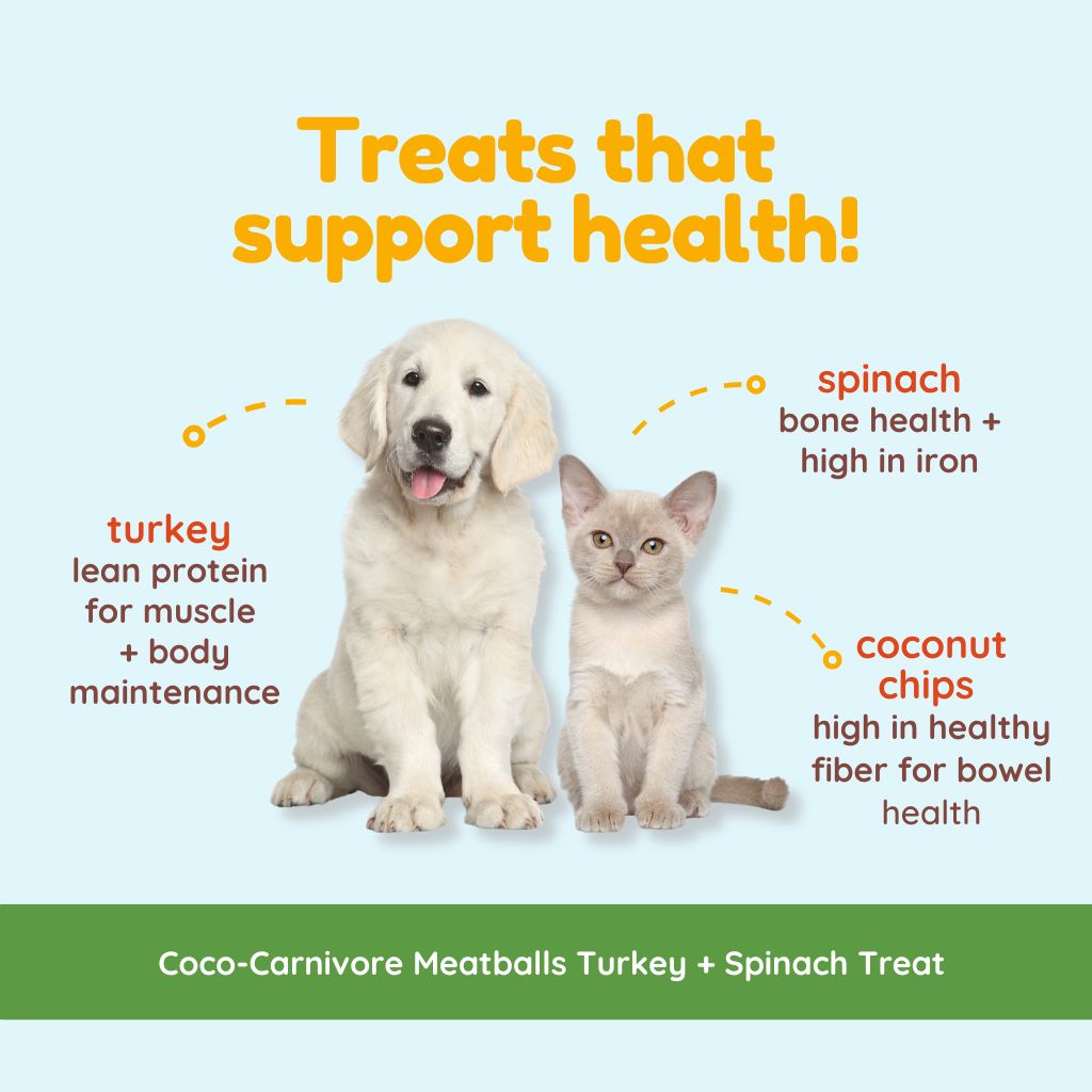 Turkey Lover Combo - Organ Bites! Turkey + Coco-Carnivore Meatballs Turkey
