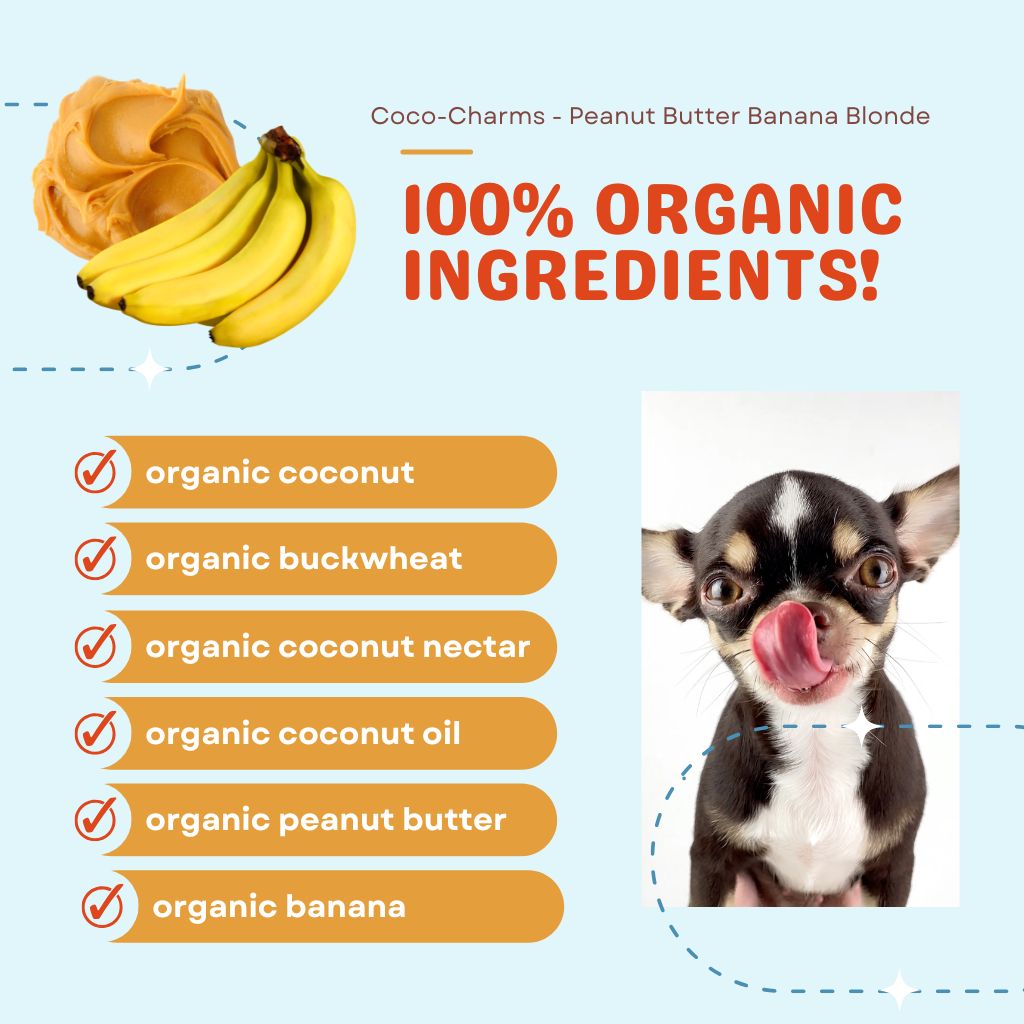 Coco-Charms Training Treats Peanut Butter Banana Blondie - Organic Training Treat for dogs