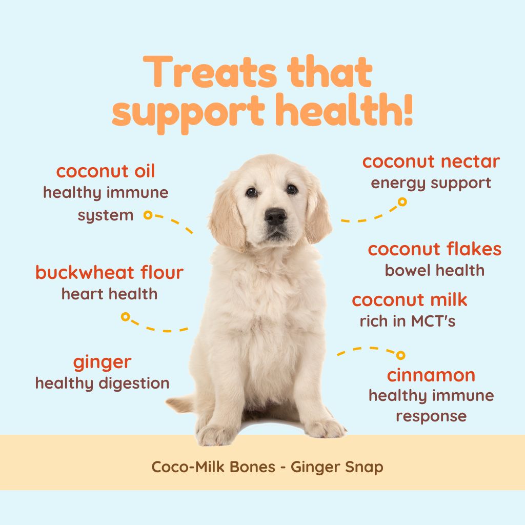 Coco-Milk Bones Ginger Snaps Biscuit - Organic Coconut Treat for dogs