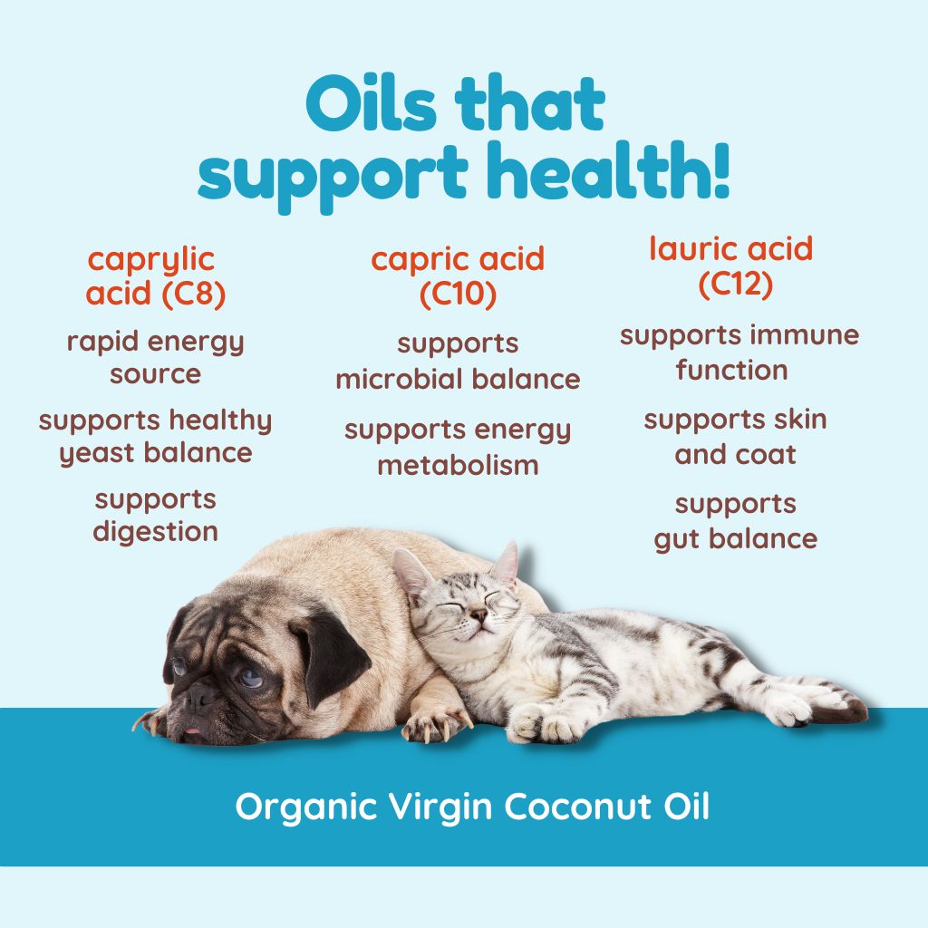Coconut Oil Home & Go Combo - Virgin Coconut Oil (16 oz) & Coconut Oil Portable Packets