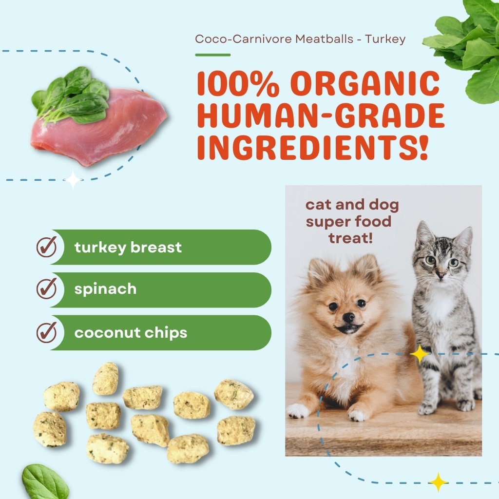 Turkey Lover Combo - Organ Bites! Turkey + Coco-Carnivore Meatballs Turkey