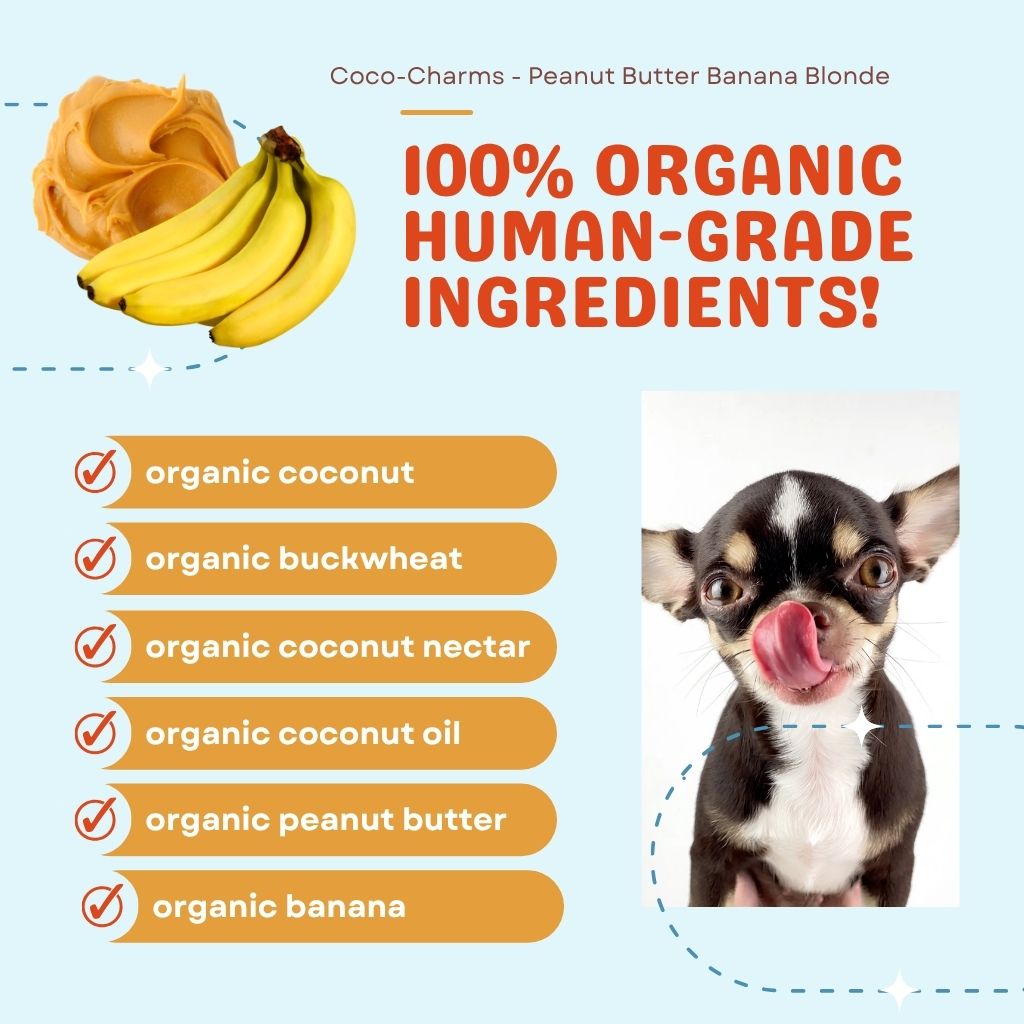 Coco-Charms Training Treats Peanut Butter Banana Blondie - Organic Training Treat for dogs