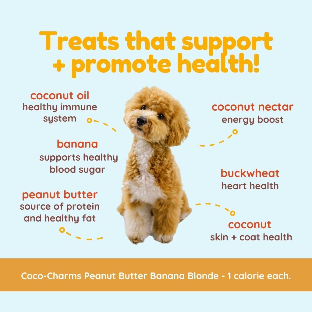 Coco-Charms Training Treats Peanut Butter Banana Blondie - Organic Training Treat for dogs