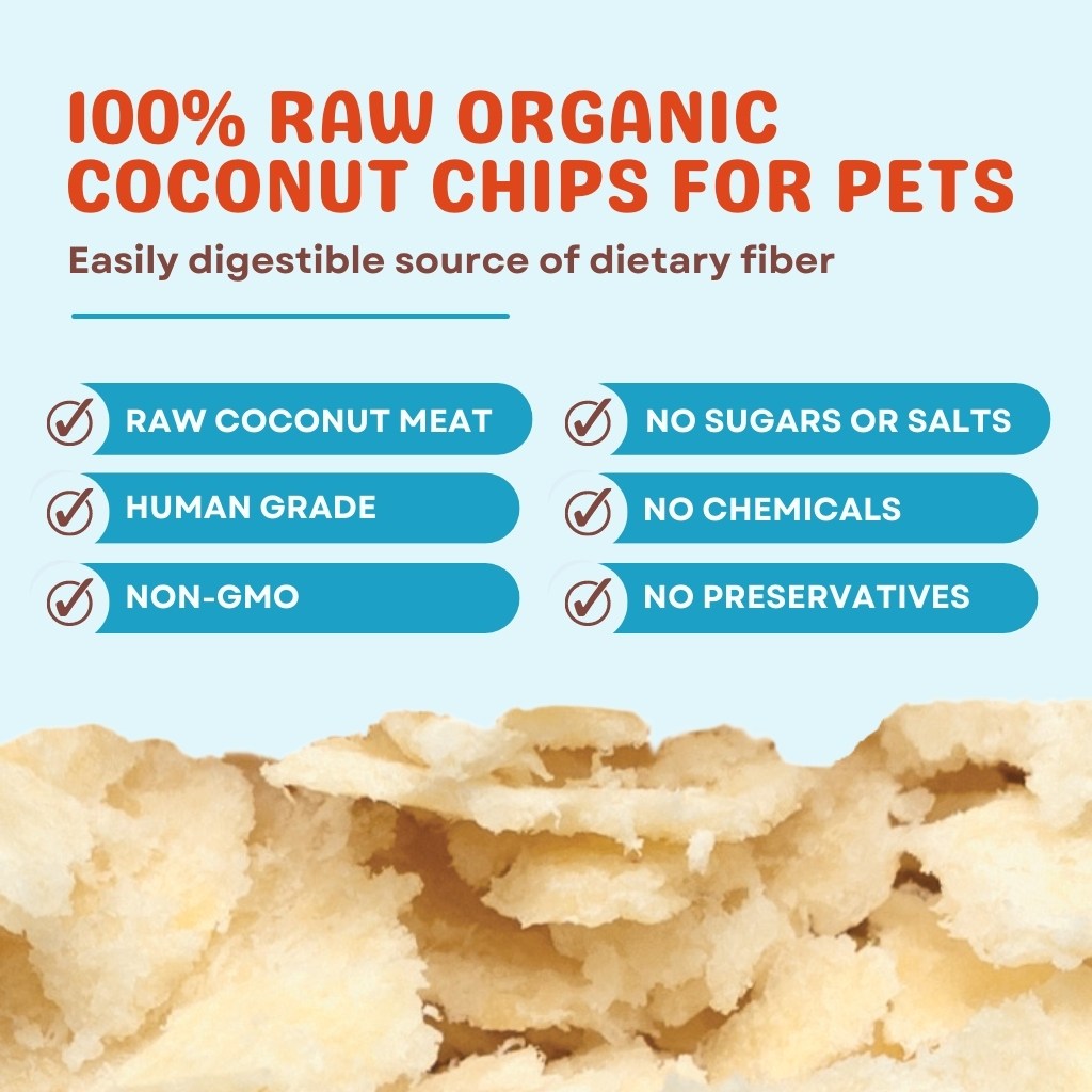 Ultimate Gut Health Combo Pack - Coco-Ghee + Coconut Chips