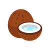 Coconut Chips