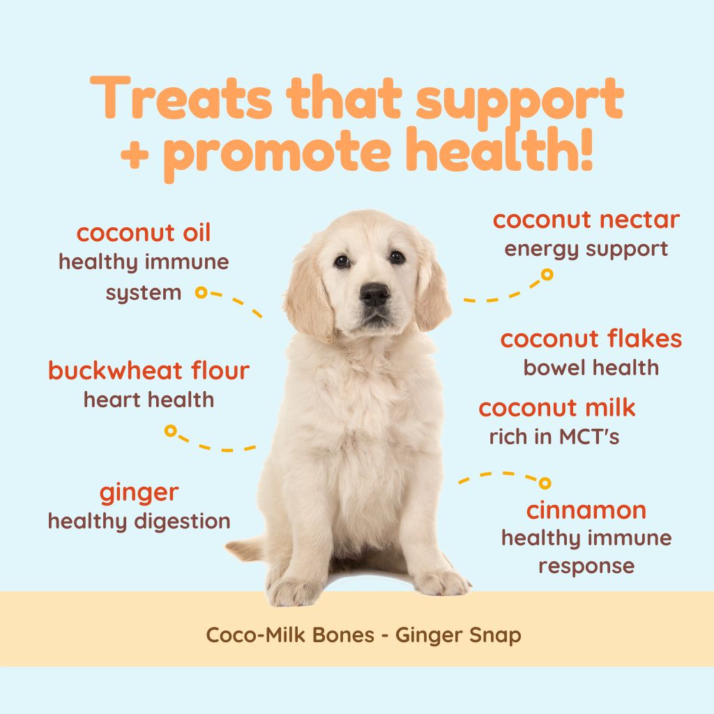 Coco-Milk Bones Ginger Snaps Biscuit - Organic Coconut Treat for dogs