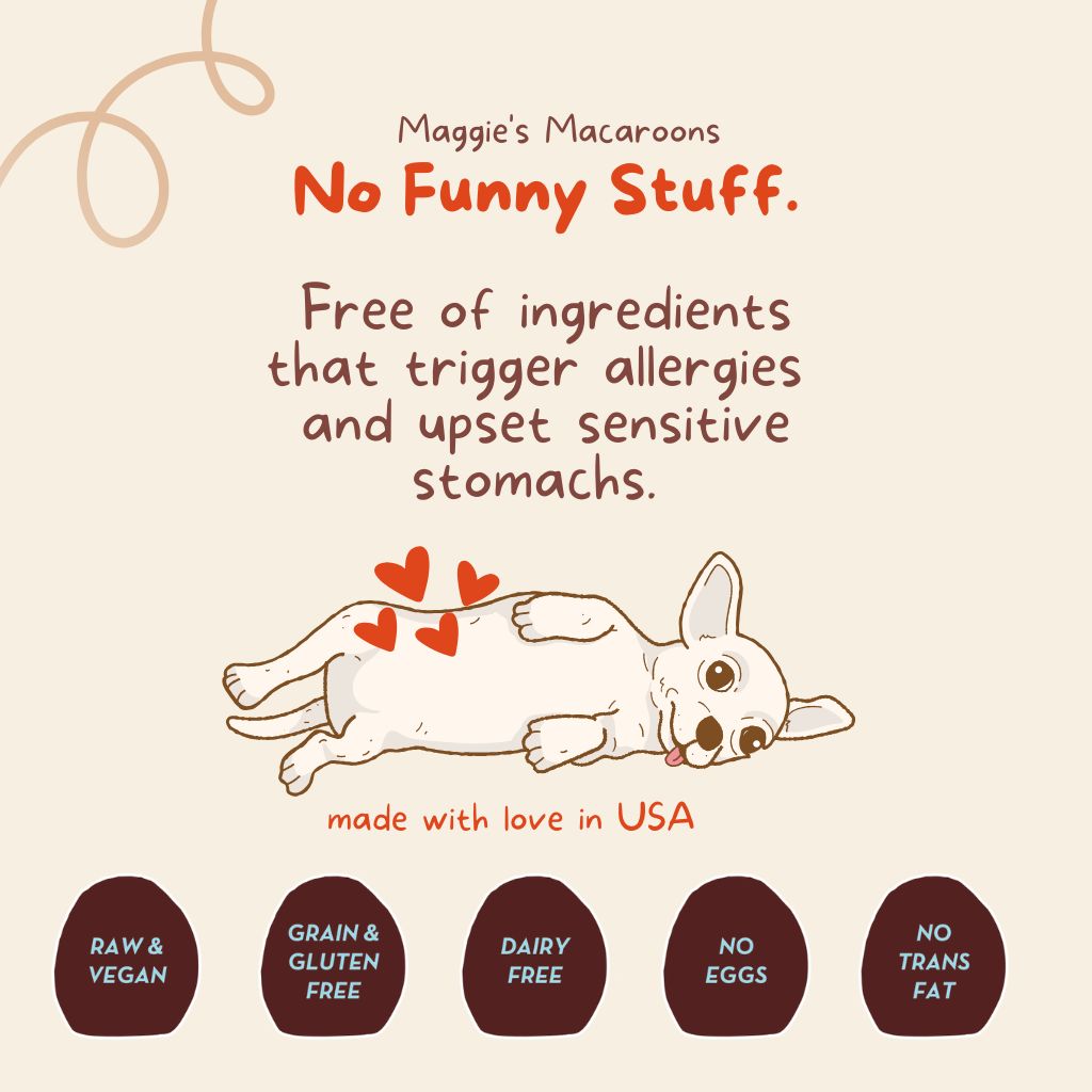 Maggie's Macaroons Coconut Apple Pie - Organic Coconut Treat for dogs