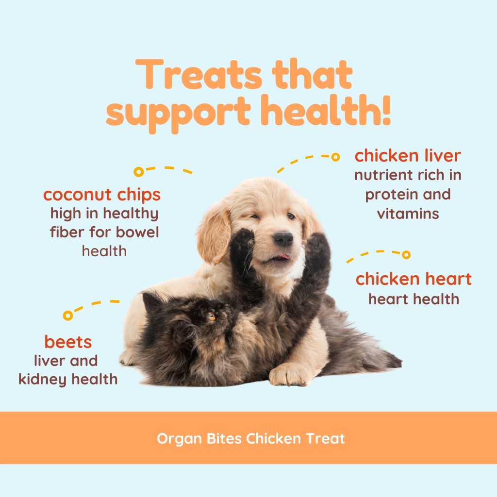 Chicken Lover Combo - Organ Bites! Chicken + Coco-Carnivore Meatballs Chicken