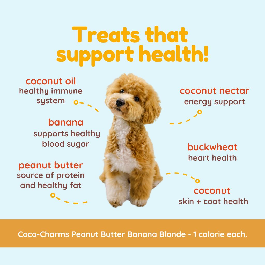 Coco-Charms Training Treats Peanut Butter Banana Blondie - Organic Training Treat for dogs