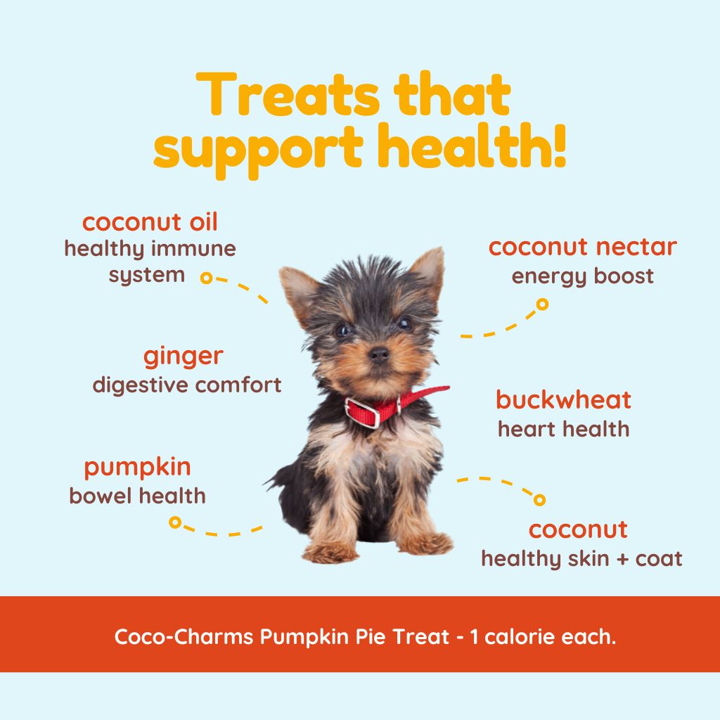 Coco-Charms Training Treats Pumpkin Pie - Organic Training Treat for dogs