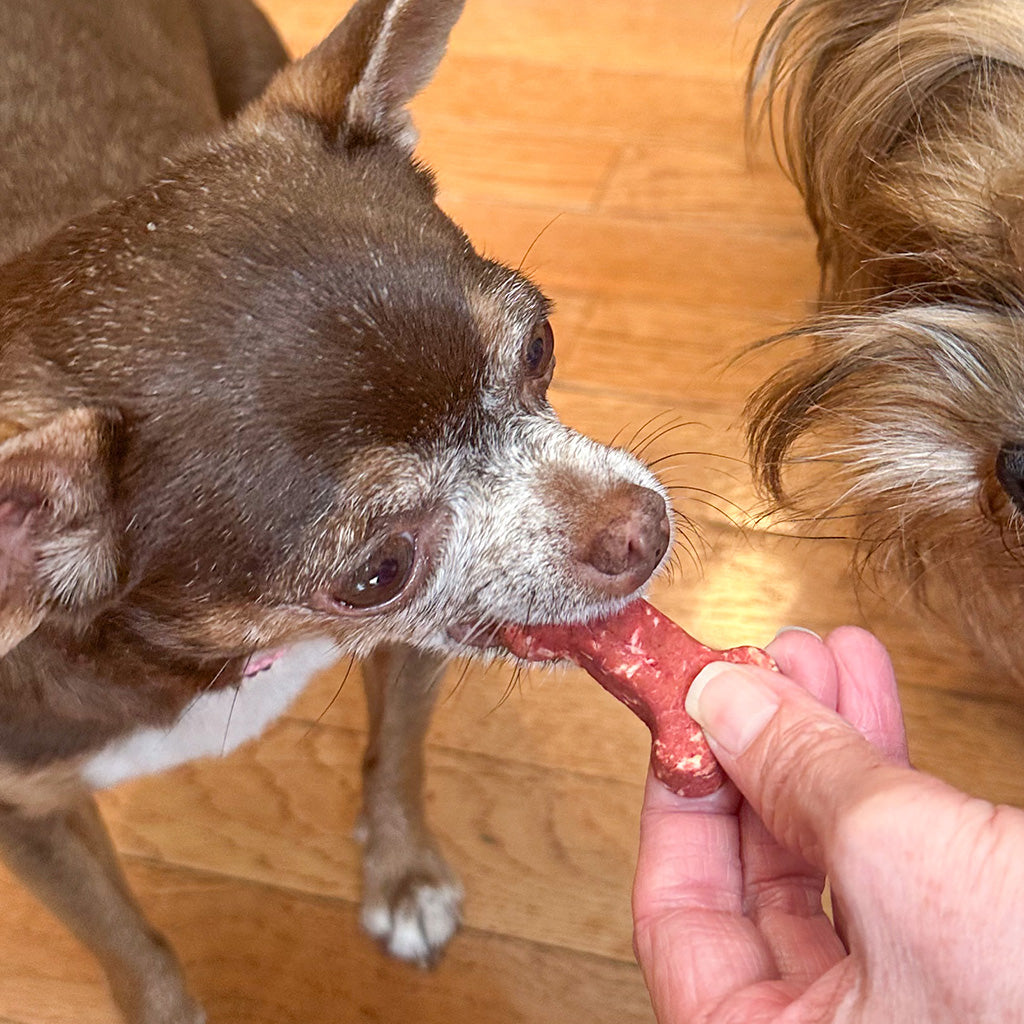 Coco-Milk Bones Red Velvet Biscuit - Organic Coconut Treat for dogs