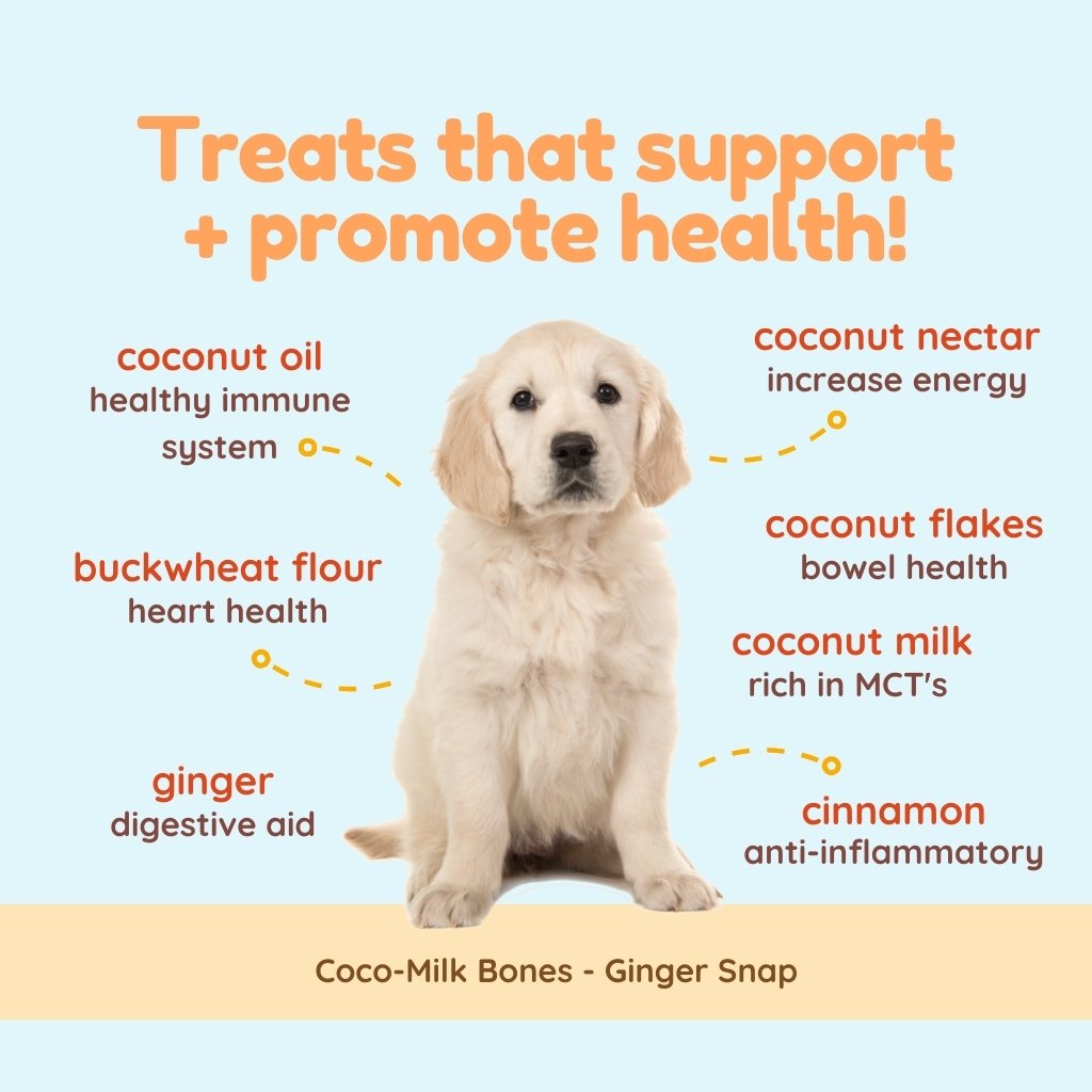 Coco-Milk Bones Ginger Snaps Biscuit - Organic Coconut Treat for dogs