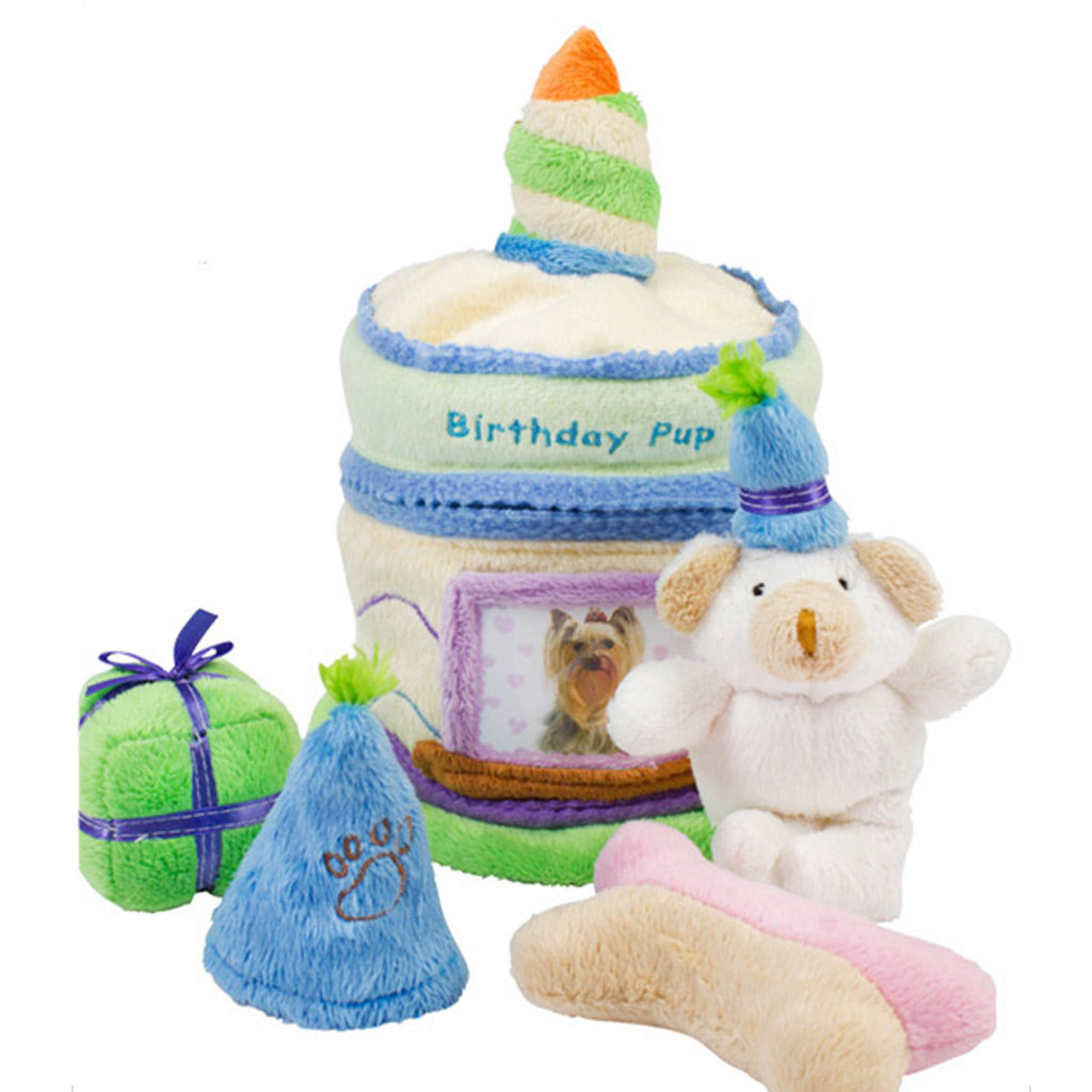 Birthday Surprise Cake Toy