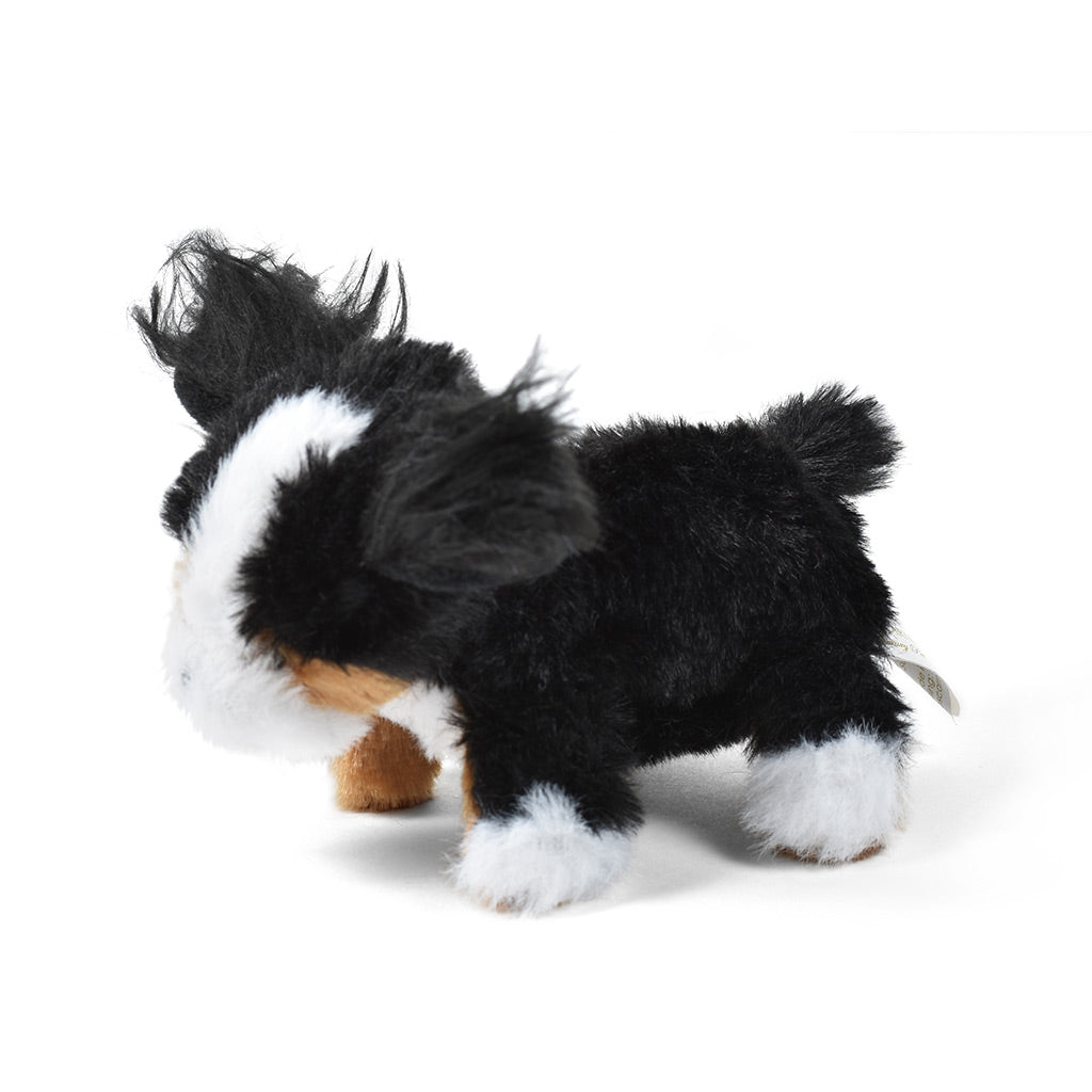 Bernese Mountain Dog Pipsqueak Toy