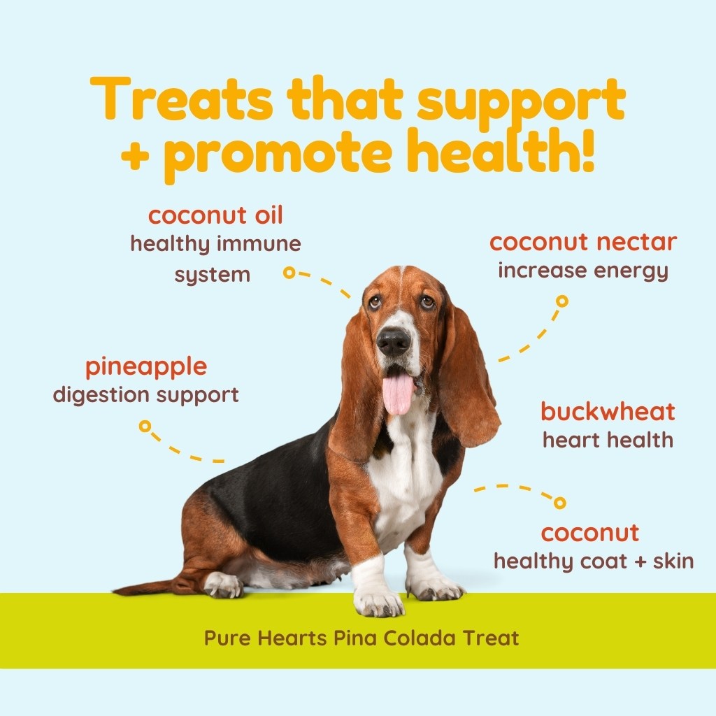 Pure Hearts Coconut Cookies Piña Colada - Organic Treat for dogs