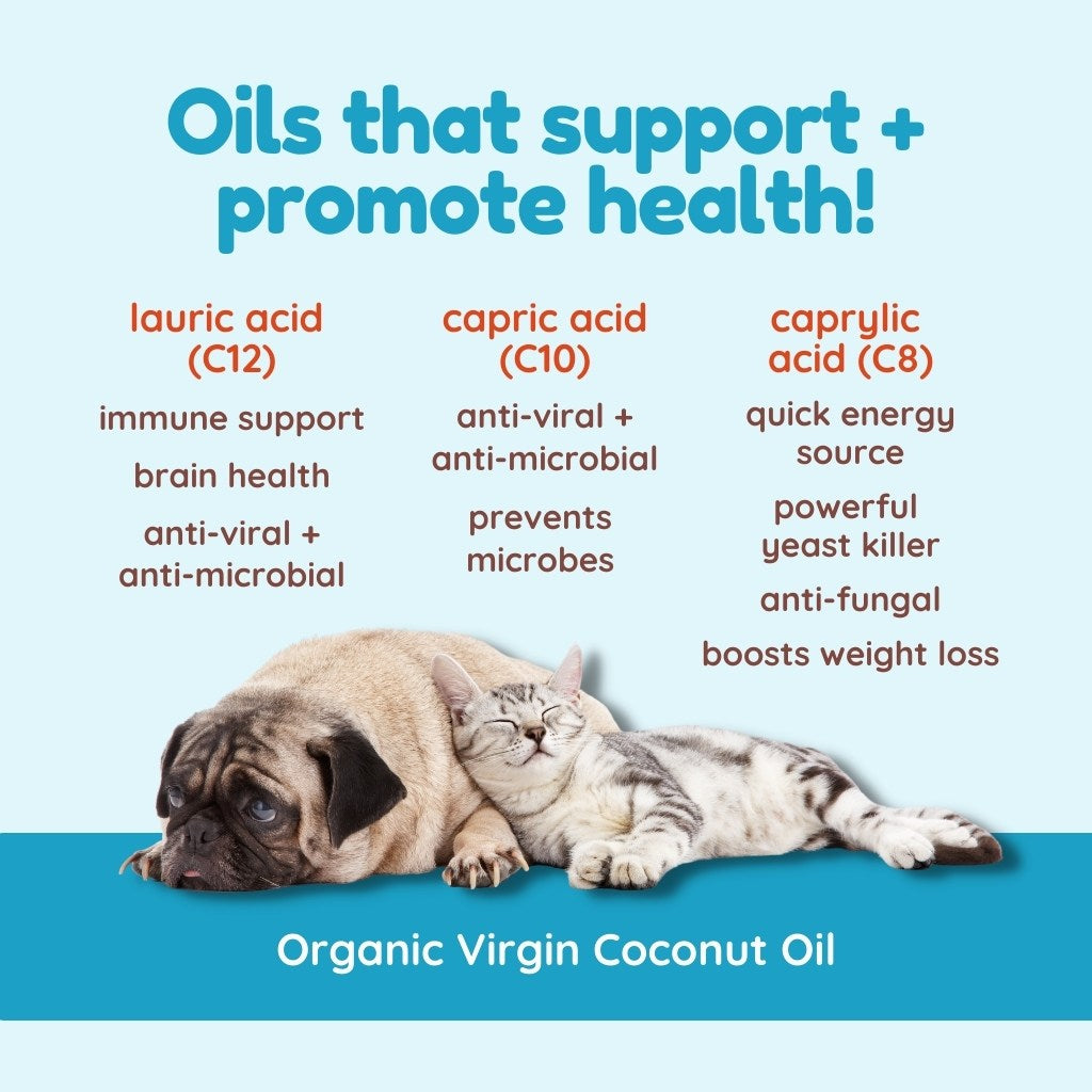 Virgin Coconut Oil (8oz) - USDA Certified Organic Coconut Oil for dogs, cats, & birds