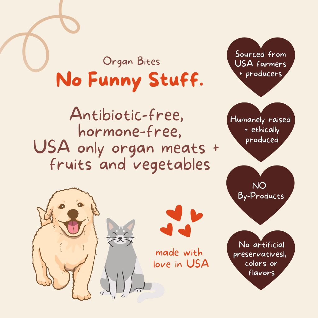 Organ Bites! Turkey Organs + Pumpkin + Coconut - Raw Organ Meat Treat for dogs and cats