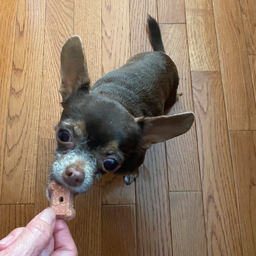 Coco-Milk Bones Red Velvet Biscuit - Organic Coconut Treat for dogs