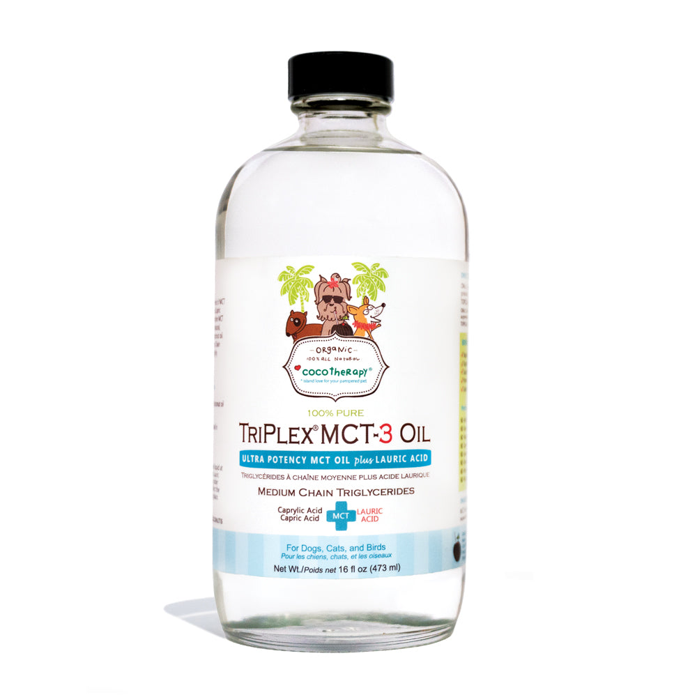 Best Mct Oil for Dogs With Epilepsy: Top Safe & Effective Picks