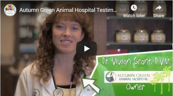 Autumn Green Animal Hospital for CocoTherapy