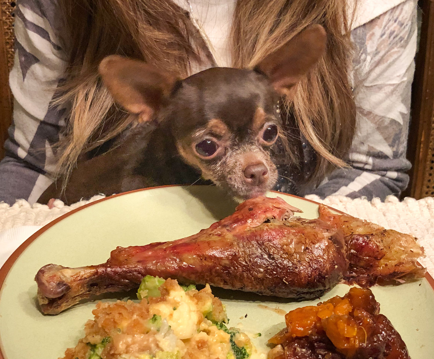 Can Pets Eat Turkey? A Complete Guide