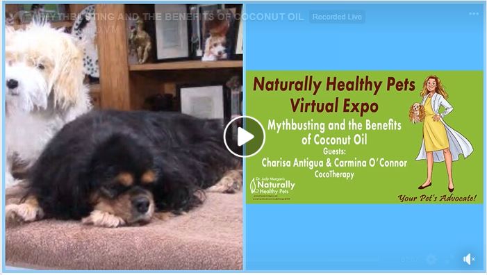 Naturally Healthy Pets Virtual Expo: Mythbusting and the Benefits of Coconut Oil. Interview with Dr. Judy Morgan DVM