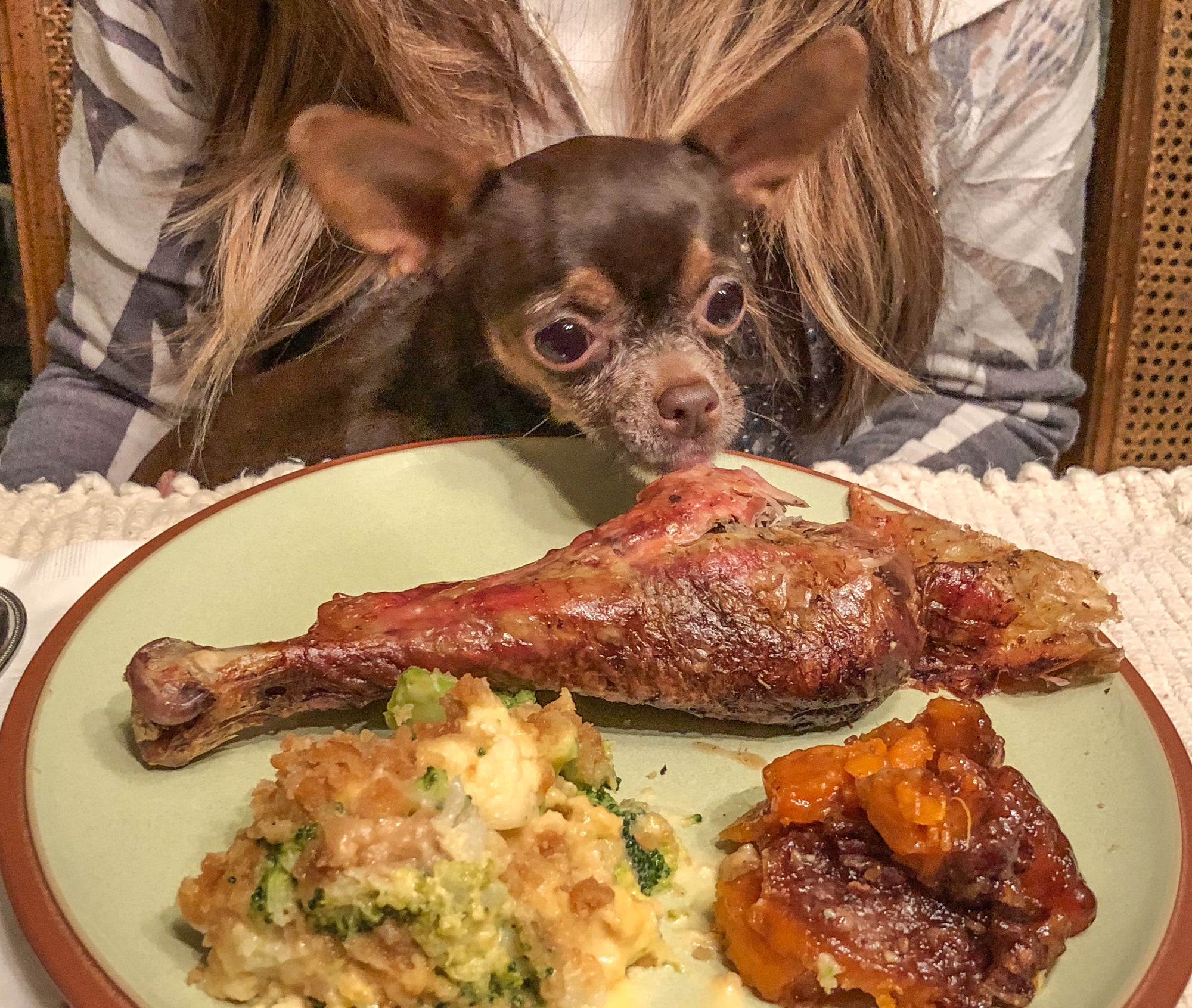 6 Thanksgiving Foods You Can Share With Your Pets