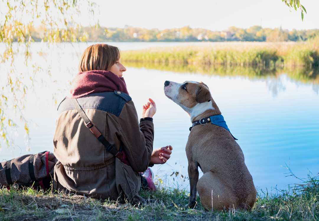 6 Amazing (and Surprising) Uses of Coconut Oil for People and Pets