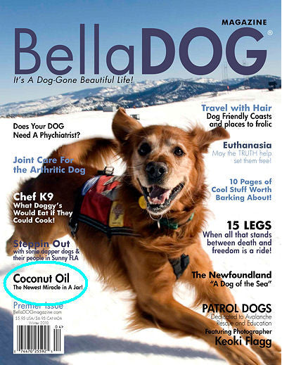 BellaDOG Magazine