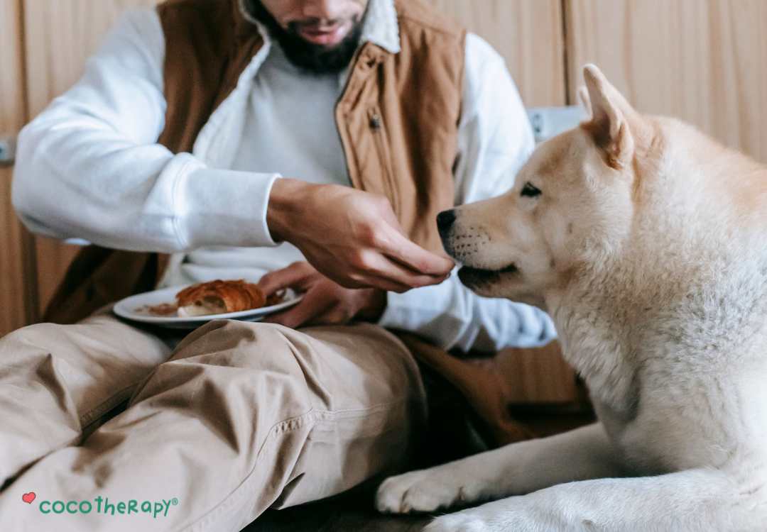 Are You Making These 7 Mistakes with Your Pet’s Diet?