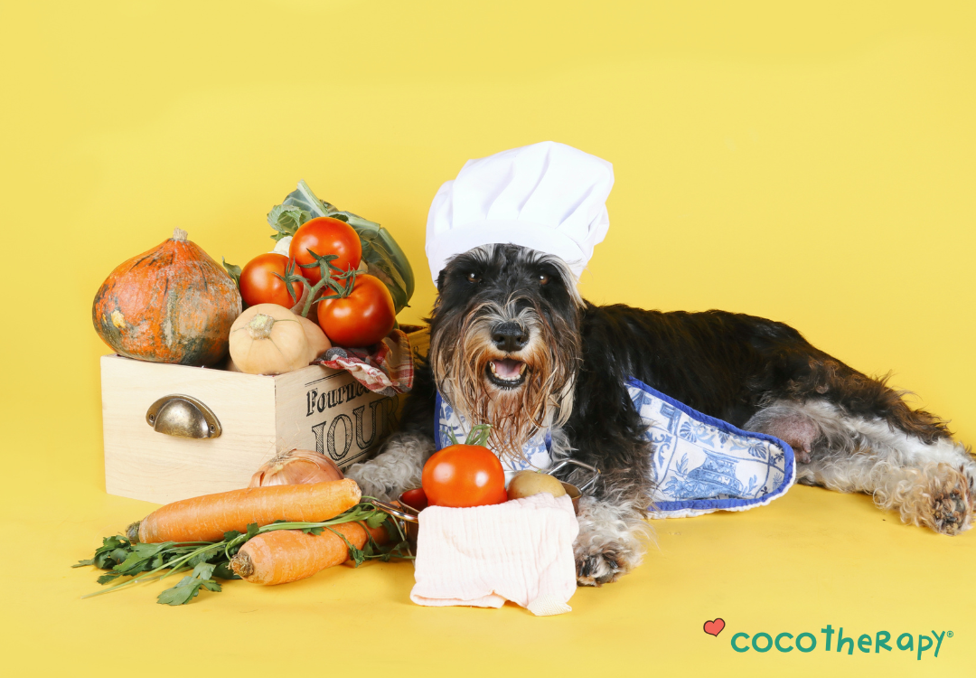 Can Dogs Be Vegan? Understanding the Science Behind Canine Nutrition (Part 1)