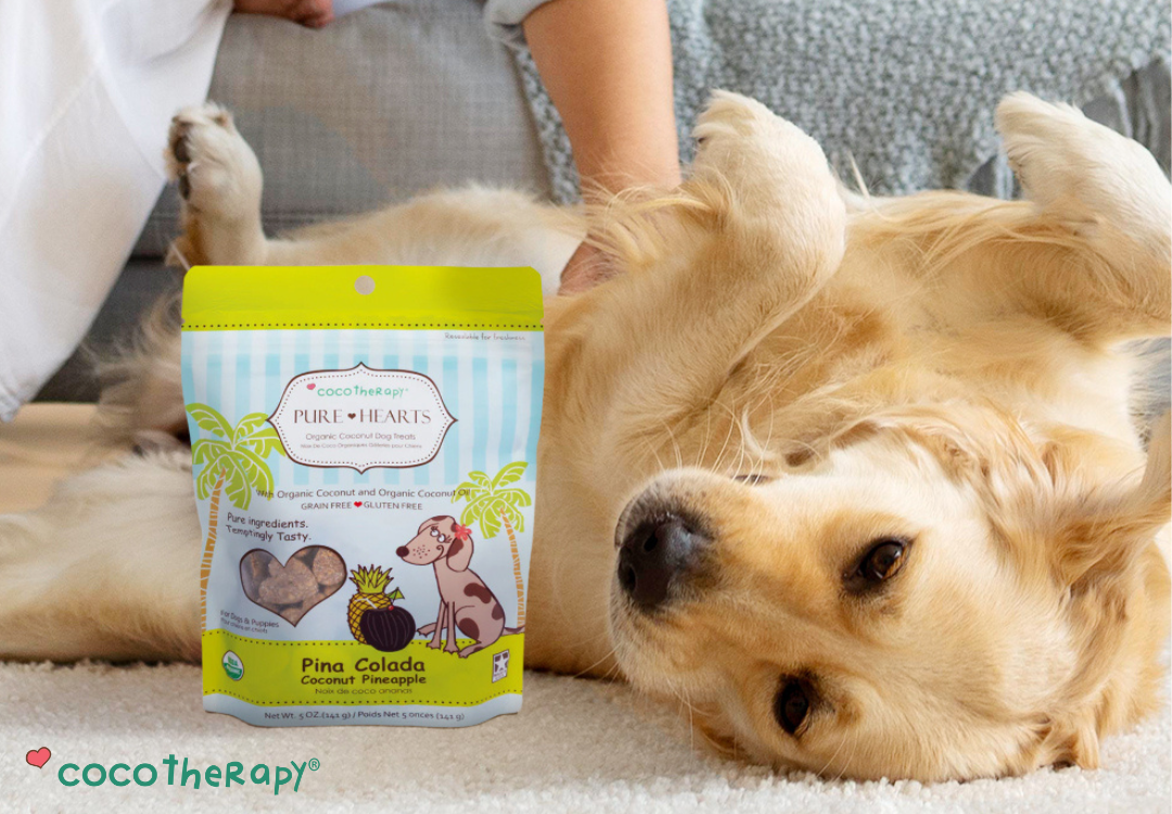 Golden Retrieve laying down beside his bag of CocoTherapy Pure Hearts organic coconut treats.