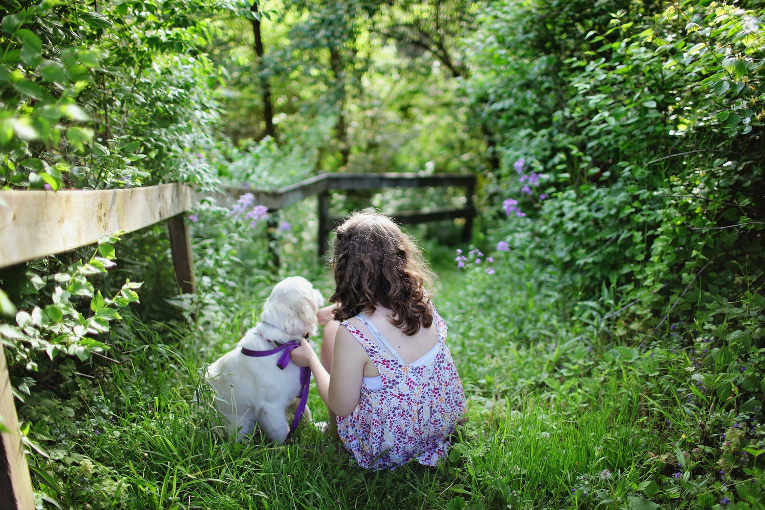 How to Create a Memorial Garden for Your Pet